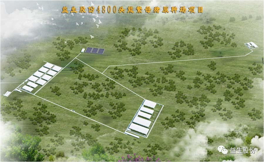 【喜讯】黑龙江122cc太阳集成游戏种猪繁育有限公司原种猪场建设项目开工